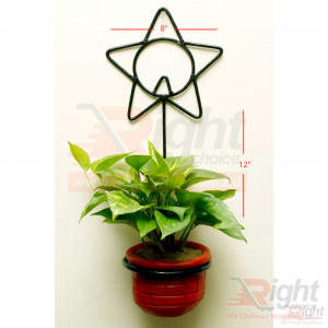 Star Shape Iron Stand 
