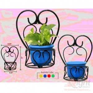Wall Hanger with Indoor Plants 