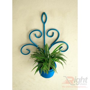 Blue Iron Wall Hanger With Spider Plant 