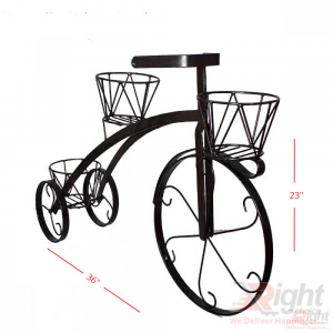Bicycle shape Stand-Black 