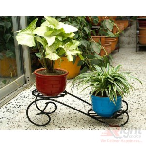 Dual Tob Stand With Live Plants 