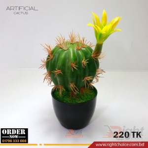 Artificial Cactus in bd