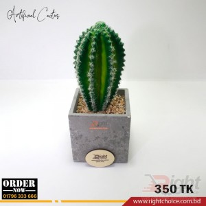 Artificial Cactus 