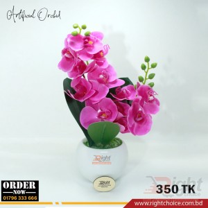 Artificial Orchid With Ceramic Pot 