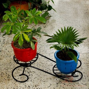 Live Plants With Dual Tob Stand 