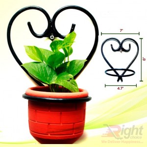 Indoor Plants with Love Stand 