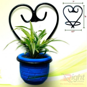 Indoor Plants with Love Stand 
