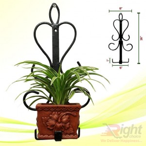 Square shape stand With Indoor Plants 