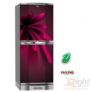 Direct Cool Refrigerator-Walton