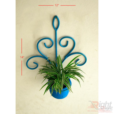 Blue Iron Wall Hanger With Spider Plant 