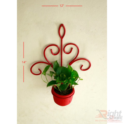 Red Color Iron Wall Hanger With Money Plant 