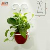 Wall Hanger With Indoor Plants exclusive collection in bd