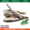 Poya Shutki 