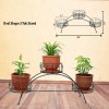 Bridge Shape Indoor Tob stand With Live Plants 